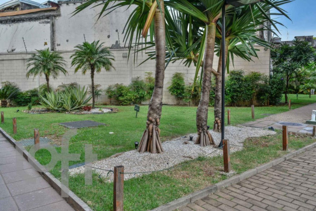 Imagem Apartamento com 3 Quartos à Venda, 62 m² em Bom Retiro - São Paulo