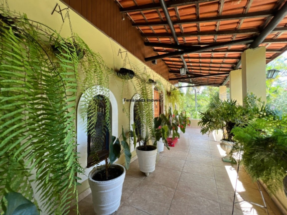 Imagem Chácara com 4 Quartos à Venda, 16.000 m² em Jundiaizinho (terra Preta) - Mairiporã