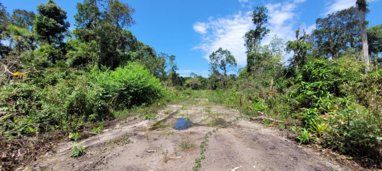 Imagem Terreno à Venda, 384 m² em Continental - Itapoá Imagem Terreno à Venda, 384 m² em Continental - Itapoá
