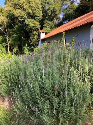 Imagem Imóvel com 2 Quartos à Venda, 12.250 m² em Barro Vermelho I (barro Vermelho) - Gravataí Imagem Imóvel com 2 Quartos à Venda, 12.250 m² em Barro Vermelho I (barro Vermelho) - Gravataí