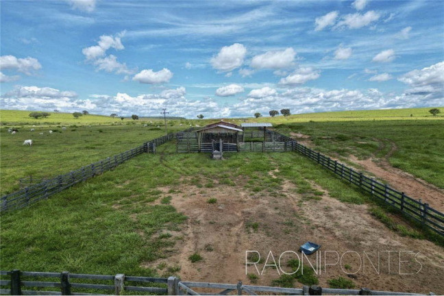 Imagem Fazenda à Venda, 18.420.000 m² em Zona Rural - Darcinópolis Imagem Fazenda à Venda, 18.420.000 m² em Zona Rural - Darcinópolis