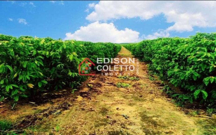 Imagem Fazenda à Venda, 6.000.000 m² em Centro - Itamaraju