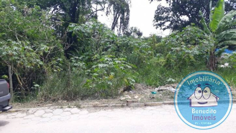 Imagem Terreno à Venda, 1 m² em Trancoso - Porto Seguro Imagem Terreno à Venda, 1 m² em Trancoso - Porto Seguro