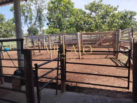 Imagem Chácara com 3 Quartos à Venda, 13 m² em Setor Central - Faina Imagem Chácara com 3 Quartos à Venda, 13 m² em Setor Central - Faina