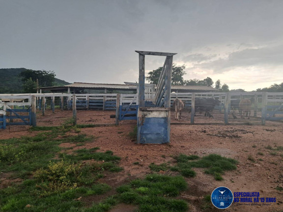 Imagem Chácara à Venda, 10 m² em Zona Rural - Itapuranga Imagem Chácara à Venda, 10 m² em Zona Rural - Itapuranga