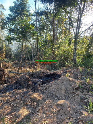 Imagem Chácara à Venda, 20.000 m² em Centro - Monteiro Lobato Imagem Chácara à Venda, 20.000 m² em Centro - Monteiro Lobato