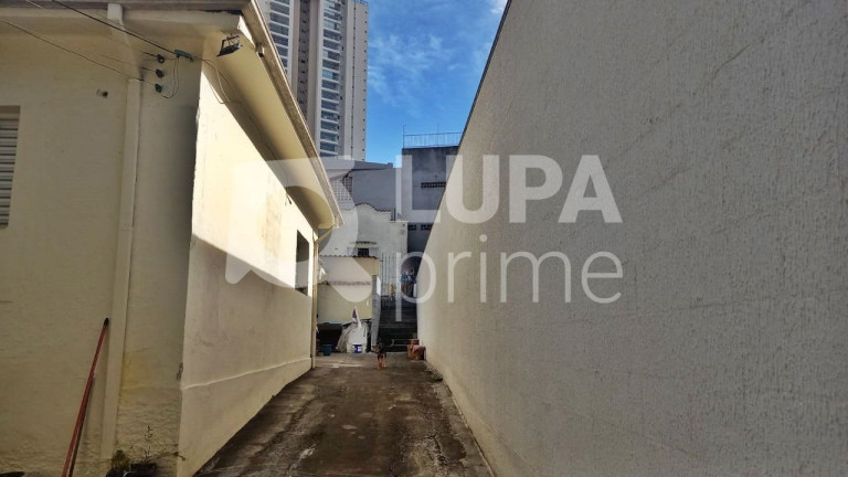 Imagem Terreno à Venda, 141 m² em Vila Maria Alta - São Paulo Imagem Terreno à Venda, 141 m² em Vila Maria Alta - São Paulo