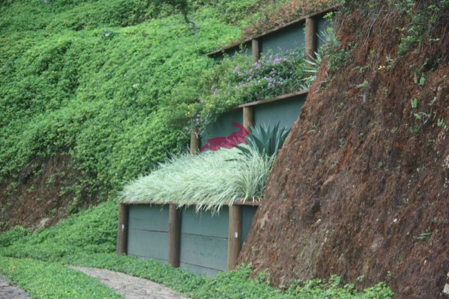 Imagem Fazenda à Venda, 400 m² em Zona Rural - Pequeri Imagem Fazenda à Venda, 400 m² em Zona Rural - Pequeri
