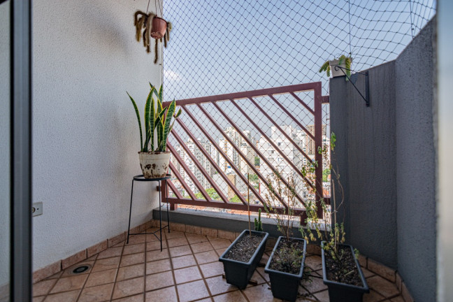 Imagem Apartamento com 3 Quartos à Venda, 76 m² em Vila Pompéia - São Paulo