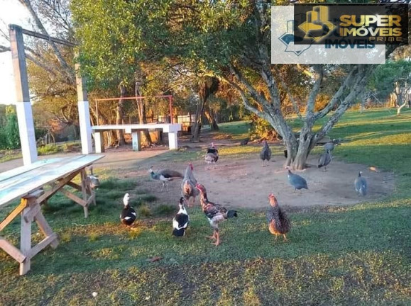 Imagem Imóvel com 6 Quartos à Venda, 125.000 m² em Centro - Morro Redondo