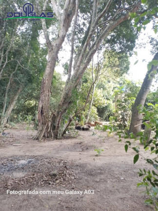 Chácara com 2 Quartos à Venda, 1.800 m² em Viamão