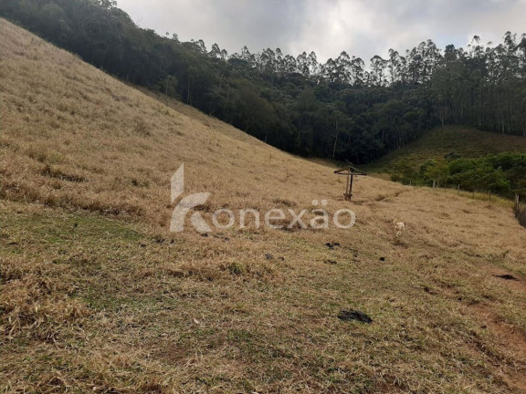 Imagem Chácara com 1 Quarto à Venda, 70 m² em Lagoa - Paraibuna
