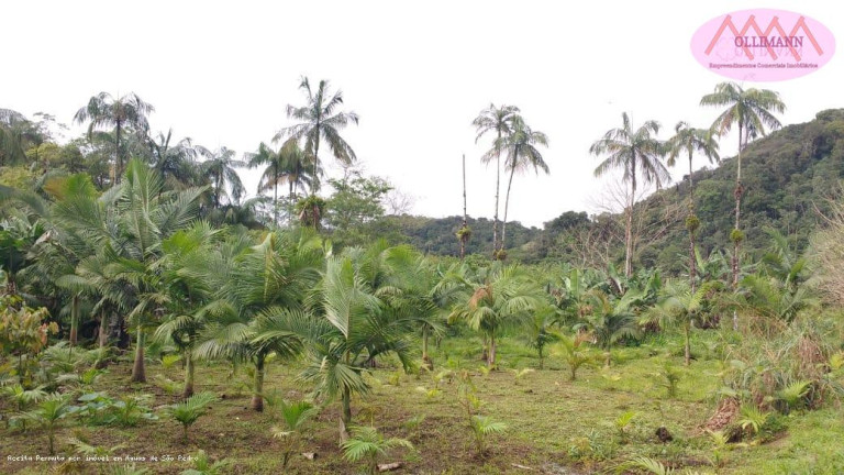 Imagem Imóvel com 1 Quarto à Venda, 83 m² em Plantação Com Certificação Orgânica Para O Brasil E Para A Europa. - Peruíbe