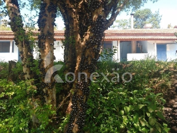 Imagem Fazenda à Venda, 100 m² em Monte Belo - Taubaté Imagem Fazenda à Venda, 100 m² em Monte Belo - Taubaté
