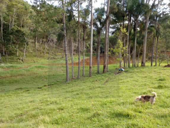 Imagem Chácara com 3 Quartos à Venda, 120 m² em Palmeiras - Natividade Da Serra Imagem Chácara com 3 Quartos à Venda, 120 m² em Palmeiras - Natividade Da Serra
