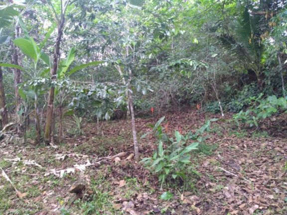 Imagem Imóvel à Venda, em Rural - Uruçuca Imagem Imóvel à Venda, em Rural - Uruçuca