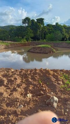 Imagem Chácara à Venda, 1 m² em Zona Rural - Guapó Imagem Chácara à Venda, 1 m² em Zona Rural - Guapó