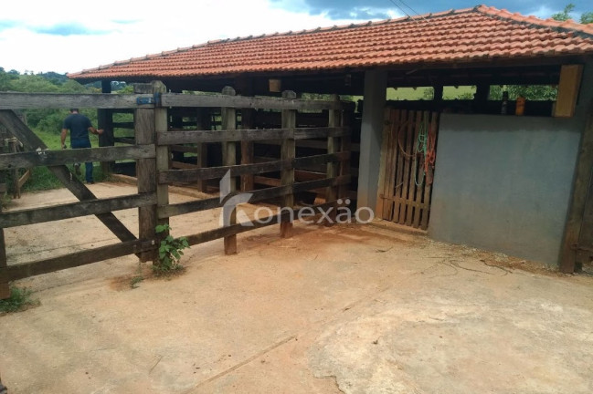Imagem Chácara com 2 Quartos à Venda, 200 m² em Pinheiro - Paraibuna Imagem Chácara com 2 Quartos à Venda, 200 m² em Pinheiro - Paraibuna