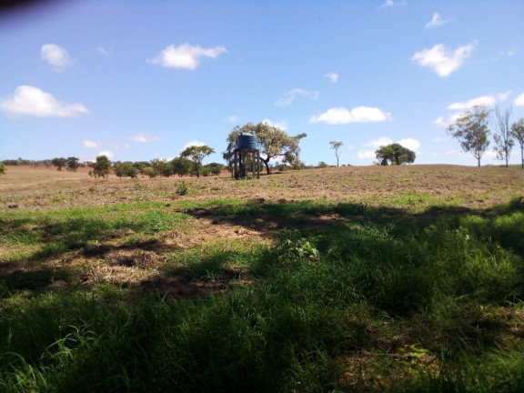 Imagem Fazenda à Venda, 32 m² em Rural - Bauru Imagem Fazenda à Venda, 32 m² em Rural - Bauru