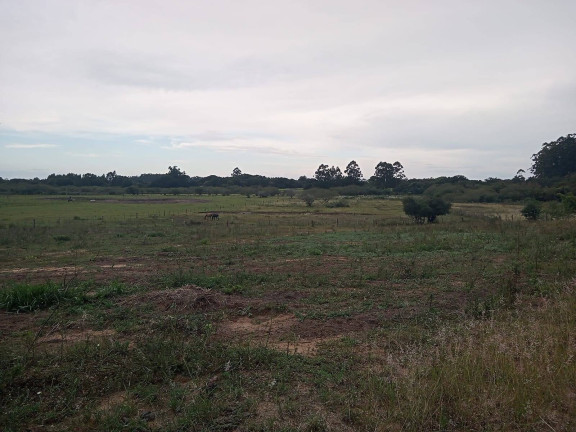 Imagem Chácara com 2 Quartos à Venda, 20.000 m² em águas Claras - Viamão Imagem Chácara com 2 Quartos à Venda, 20.000 m² em águas Claras - Viamão