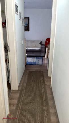 Imagem Apartamento com 3 Quartos à Venda, 64 m² em Jardim íris - São Paulo Imagem Apartamento com 3 Quartos à Venda, 64 m² em Jardim íris - São Paulo