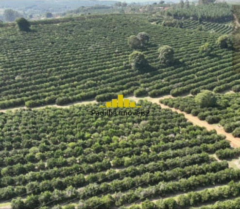 Imagem Fazenda à Venda, 170 m² em Rural - Angatuba Imagem Fazenda à Venda, 170 m² em Rural - Angatuba