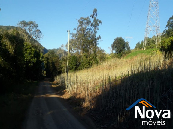 Imagem Imóvel à Venda, 60.000 m² em Linha Riachuelo - Nova Petrópolis Imagem Imóvel à Venda, 60.000 m² em Linha Riachuelo - Nova Petrópolis