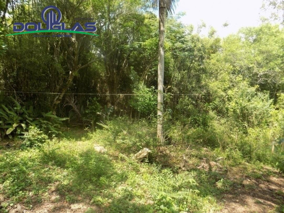 Imagem Imóvel Comercial à Venda,  em Viamão