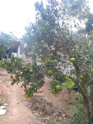 Foto do imóvel Chácara com 2 Quartos à Venda, 100 m² em Centro - Ibiúna
