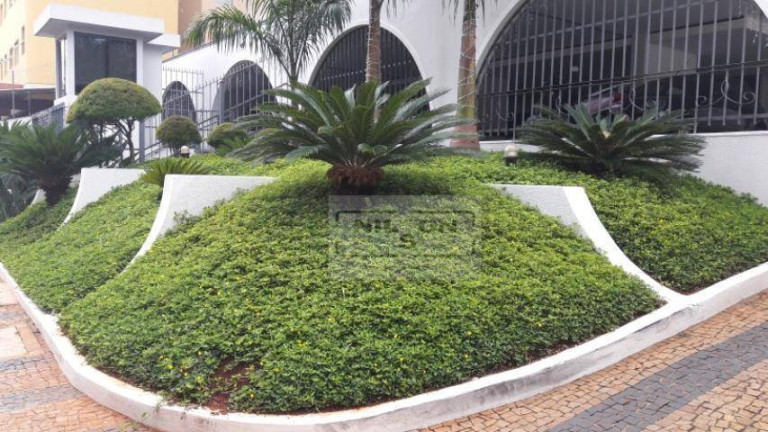 Imagem Kitnet com 1 Quarto à Venda, 38 m² em Centro - Campinas Imagem Kitnet com 1 Quarto à Venda, 38 m² em Centro - Campinas