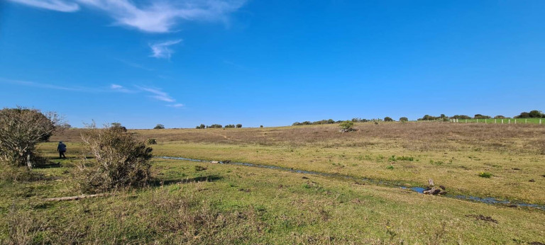 Imagem Chácara com 1 Quarto à Venda, 108.000 m² em Itapuã - Viamão Imagem Chácara com 1 Quarto à Venda, 108.000 m² em Itapuã - Viamão