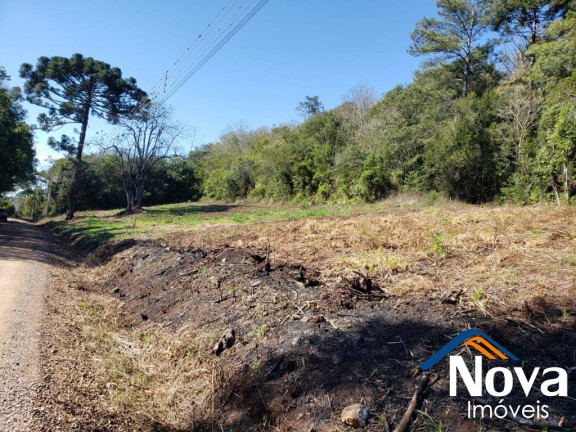 Imagem Imóvel à Venda, 11.918 m² em Linha Araripe - Nova Petrópolis Imagem Imóvel à Venda, 11.918 m² em Linha Araripe - Nova Petrópolis