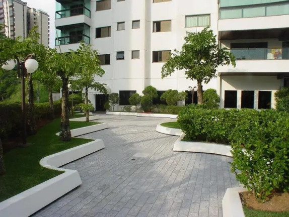 Imagem Apartamento com 3 Quartos à Venda, 243 m² em Vila Suzana - São Paulo Imagem Apartamento com 3 Quartos à Venda, 243 m² em Vila Suzana - São Paulo