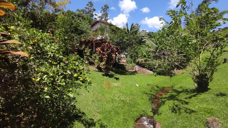 Imagem Chácara com 3 Quartos à Venda, 600 m² em Ponte Nova - Teresópolis
