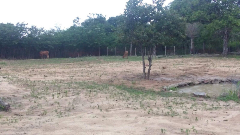 Imagem Terreno à Venda, 8.320 m² em Fonte Limpa - Araruama Imagem Terreno à Venda, 8.320 m² em Fonte Limpa - Araruama