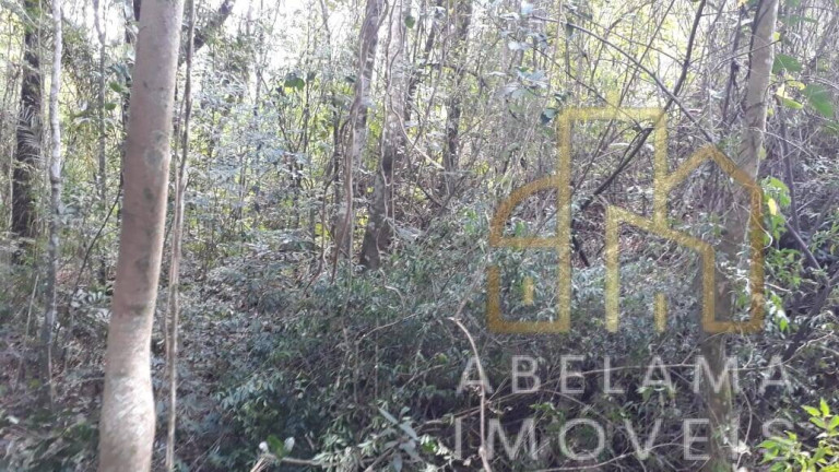 Imagem Terreno à Venda, 5.200 m² em Moreiras - Mairinque