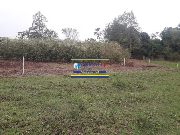 Imagem Imóvel com 4 Quartos à Venda, 7 m² em Rural - São Tomás De Aquino Imagem Imóvel com 4 Quartos à Venda, 7 m² em Rural - São Tomás De Aquino
