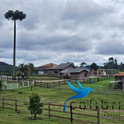 Imagem Chácara com 3 Quartos à Venda, 18.000 m² em Rio Da Várzea - Quitandinha Imagem Chácara com 3 Quartos à Venda, 18.000 m² em Rio Da Várzea - Quitandinha