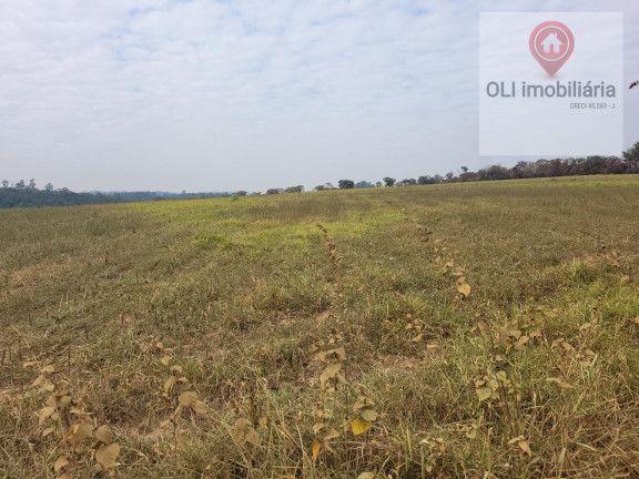 Imagem Imóvel à Venda, 323.000 m² em Varejão - Itu