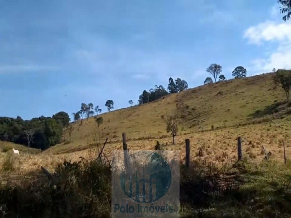 Imagem Imóvel com 4 Quartos à Venda, 540.628 m² em Zona Rural - Biguatinga