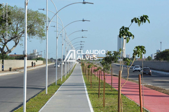 Imagem Terreno para Alugar, 6.000 m² em Parque Ipê - Feira De Santana Imagem Terreno para Alugar, 6.000 m² em Parque Ipê - Feira De Santana