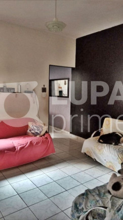 Imagem Apartamento com 2 Quartos à Venda, 92 m² em Bela Vista - São Paulo Imagem Apartamento com 2 Quartos à Venda, 92 m² em Bela Vista - São Paulo