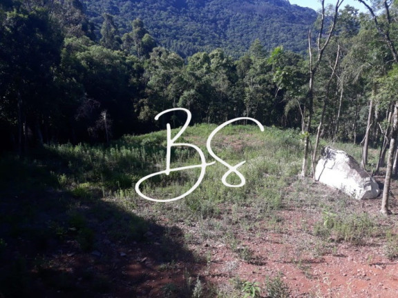 Imagem Imóvel à Venda, 7.500 m² em Serra Grande - Igrejinha Imagem Imóvel à Venda, 7.500 m² em Serra Grande - Igrejinha