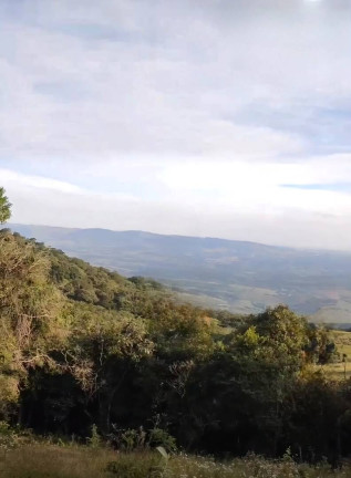 Imagem Fazenda à Venda, 9 m² em São João Da Boa Vista Imagem Fazenda à Venda, 9 m² em São João Da Boa Vista