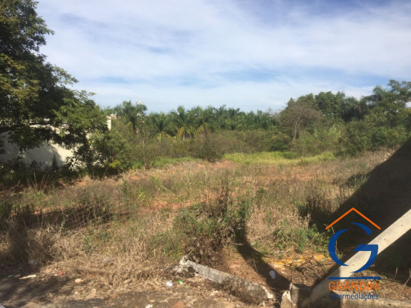 Imagem Terreno para Alugar, 300 m² em Jardim Santa Helena - Mogi Mirim Imagem Terreno para Alugar, 300 m² em Jardim Santa Helena - Mogi Mirim