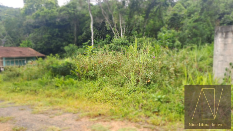 Imagem Terreno à Venda, 361 m² em Massaguaçu - Caraguatatuba Imagem Terreno à Venda, 361 m² em Massaguaçu - Caraguatatuba
