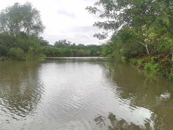 Imagem Fazenda à Venda, 30.000 m² em águas Claras - Viamão Imagem Fazenda à Venda, 30.000 m² em águas Claras - Viamão