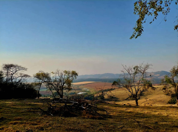 Imagem Chácara à Venda, 3 m² em Vargem Grande Do Sul Imagem Chácara à Venda, 3 m² em Vargem Grande Do Sul