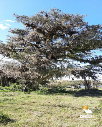 Imagem Imóvel com 1 Quarto à Venda, 1 m² em águas Claras - Viamão Imagem Imóvel com 1 Quarto à Venda, 1 m² em águas Claras - Viamão