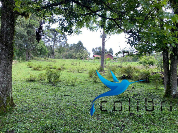 Imagem Chácara com 3 Quartos à Venda, 47.513 m² em Capoeira Dos Dinos - Piraquara Imagem Chácara com 3 Quartos à Venda, 47.513 m² em Capoeira Dos Dinos - Piraquara
